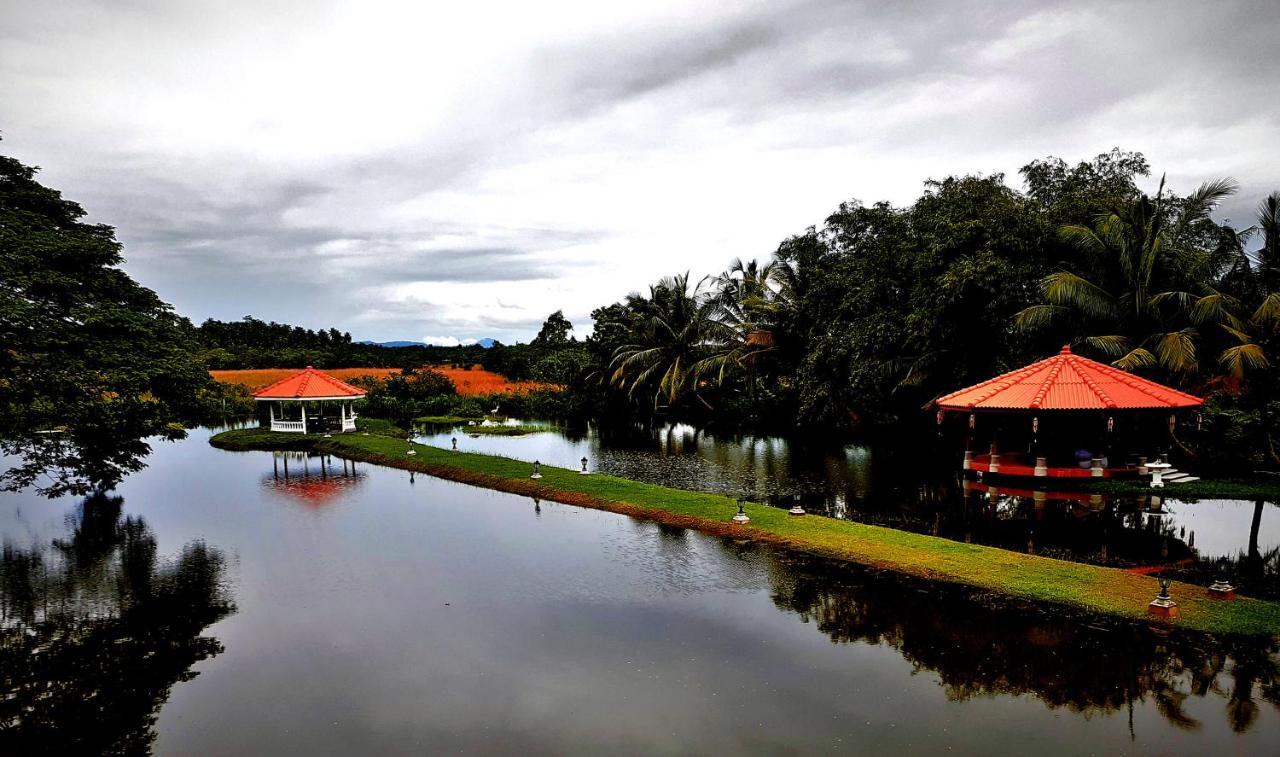 Ayubowan Swiss Lanka Bungalow Resort Bentota Bagian luar foto
